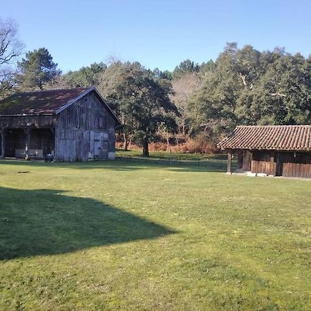 Le Petit Frouas Sud Daire Vielle-Saint-Girons Dış mekan fotoğraf