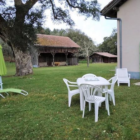 Le Petit Frouas Sud Daire Vielle-Saint-Girons Dış mekan fotoğraf