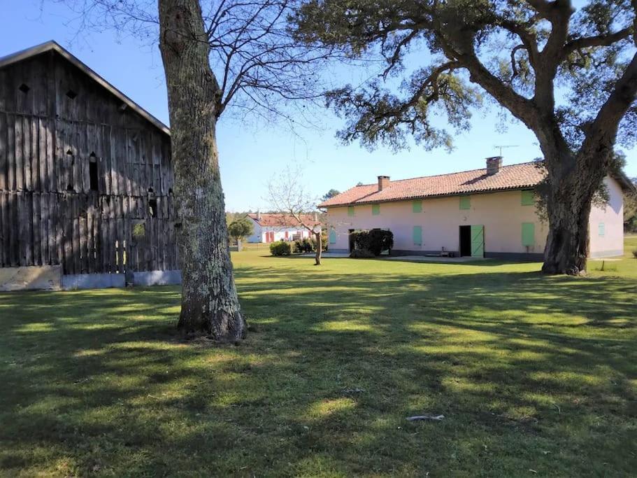 Le Petit Frouas Sud Daire Vielle-Saint-Girons Dış mekan fotoğraf