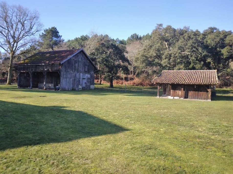 Le Petit Frouas Sud Daire Vielle-Saint-Girons Dış mekan fotoğraf