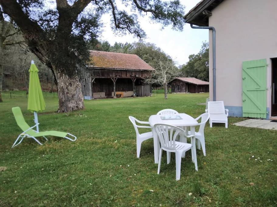 Le Petit Frouas Sud Daire Vielle-Saint-Girons Dış mekan fotoğraf