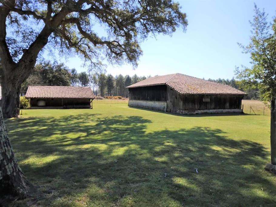 Le Petit Frouas Sud Daire Vielle-Saint-Girons Dış mekan fotoğraf